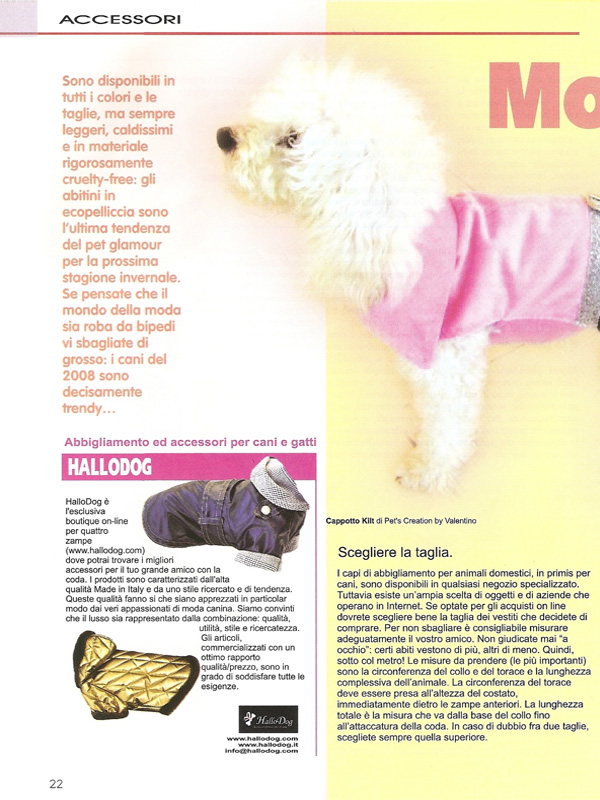 La Ciotola (Ottobre 2008) - Articolo