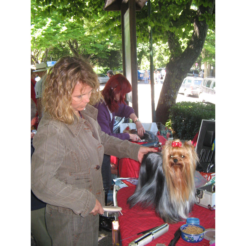 XXXIV Esposizione Nazionale Canina (Luglio 2009) - Foto 1