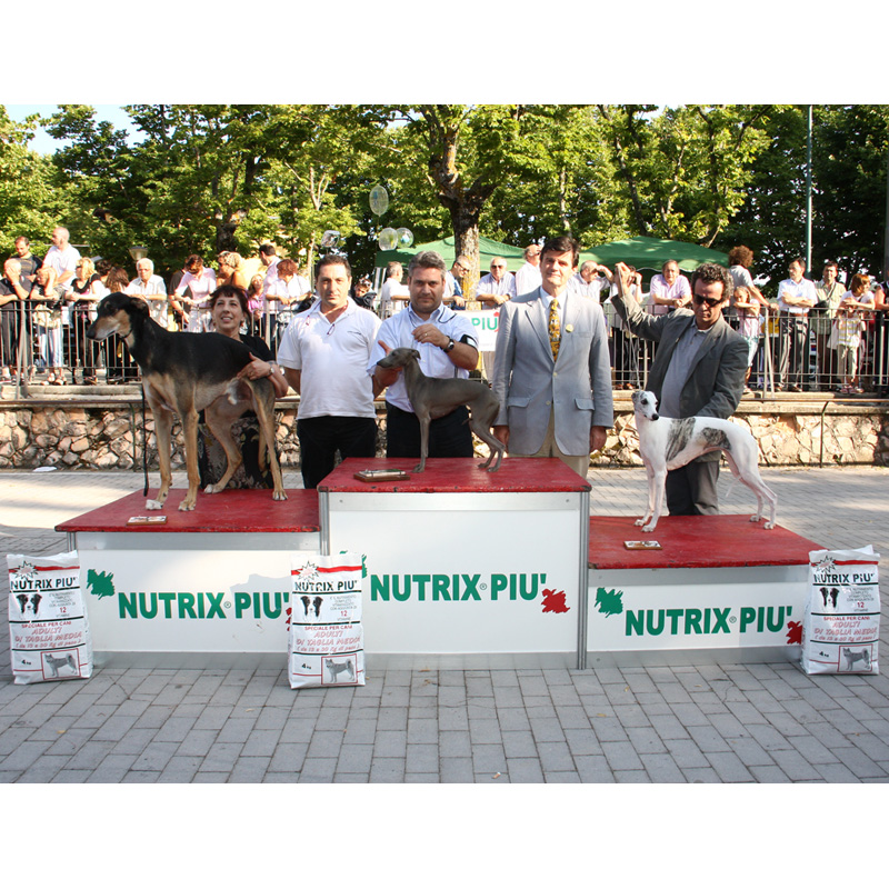 XXXIV Esposizione Nazionale Canina (Luglio 2009) - Foto 2