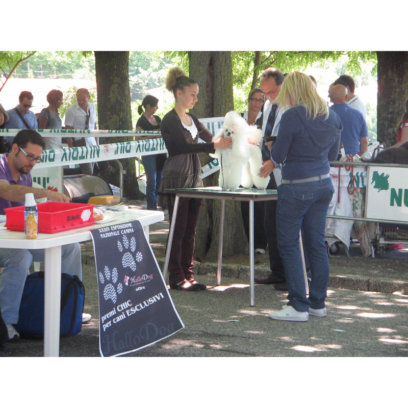 XXXIV Esposizione Nazionale Canina (Luglio 2009) - Foto 4