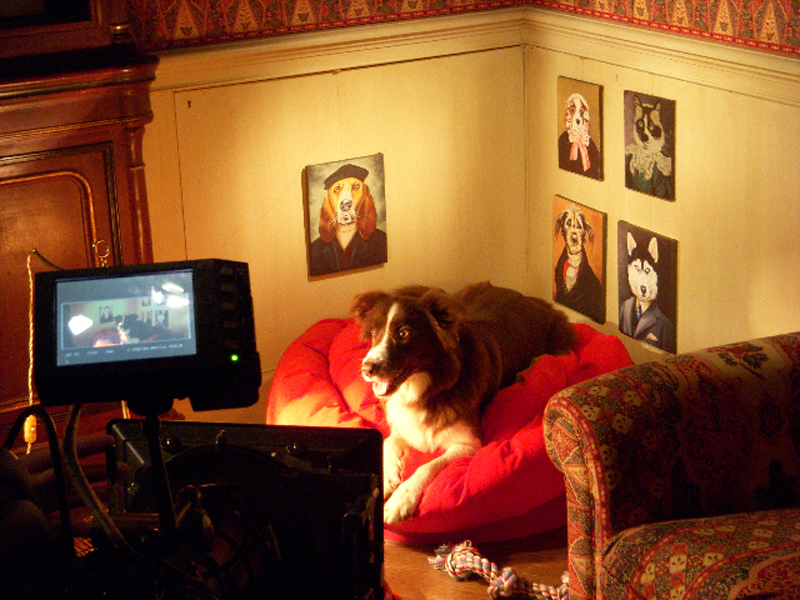 foto 4 - Durante il set Happy Family - Gabriele Salvatores (Aprile 2010)