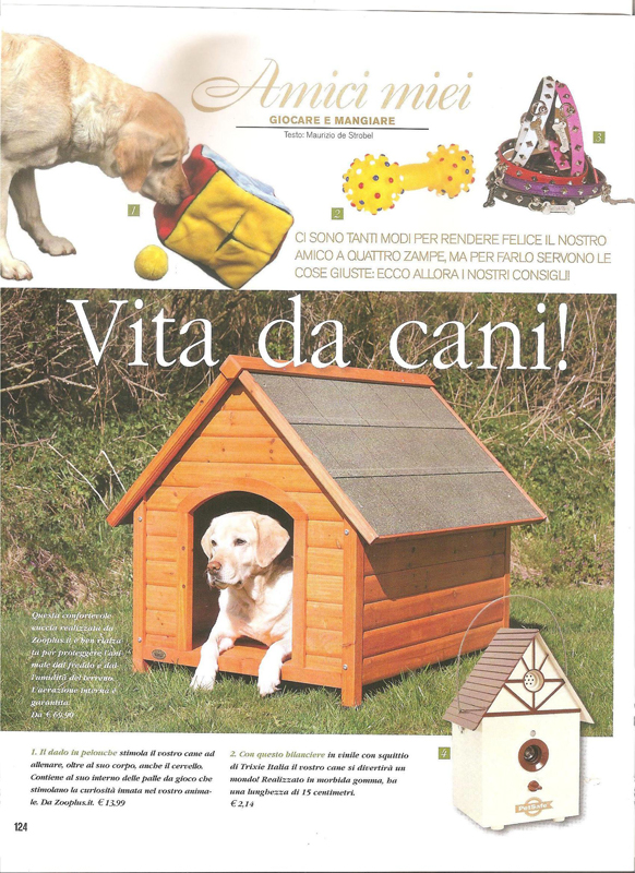Collari Hallodog - Country & Country (Maggio 2011)