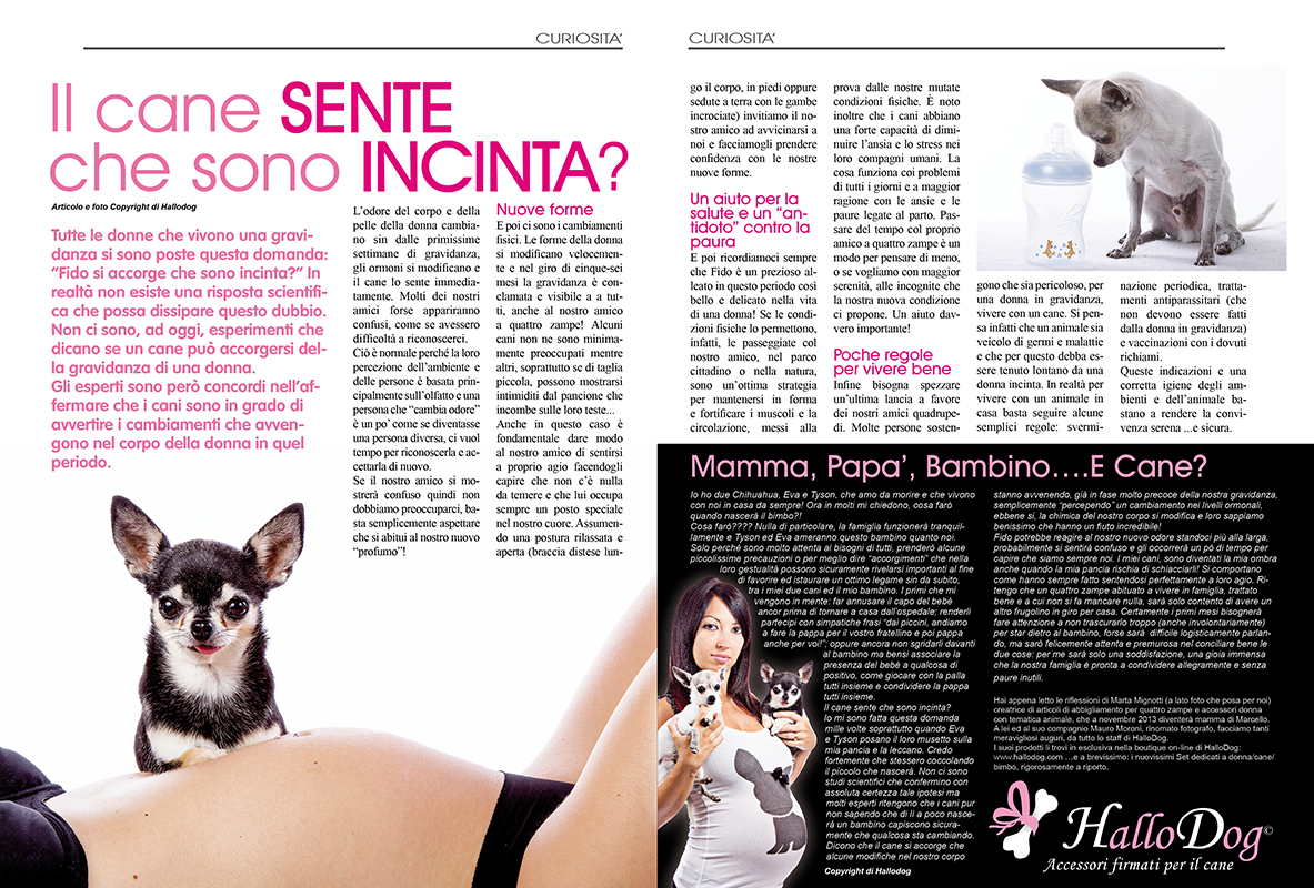  Pets Family(Novembre 2013)