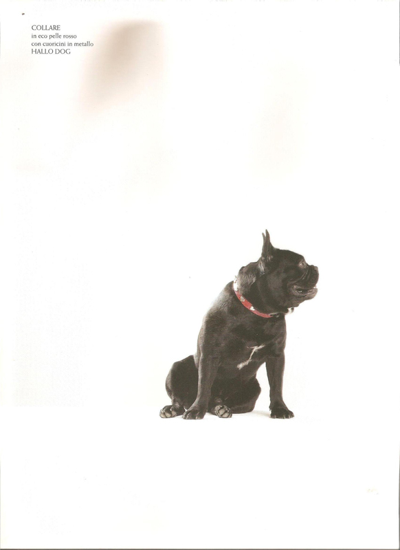 Hallodog - Posh Dog (Novembre 2010)