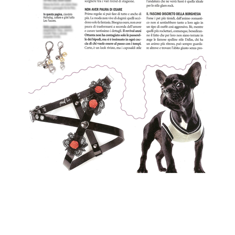 Rivista Quattro zampe (Dicembre 2009)