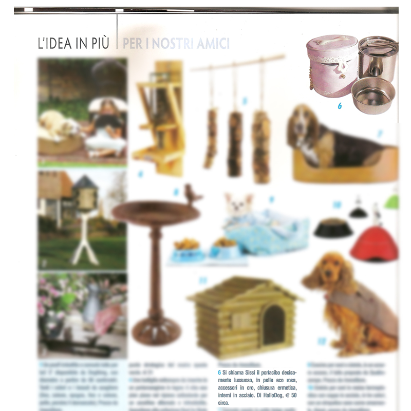 articolo COUNTRY HOUSE (gen 2010)<