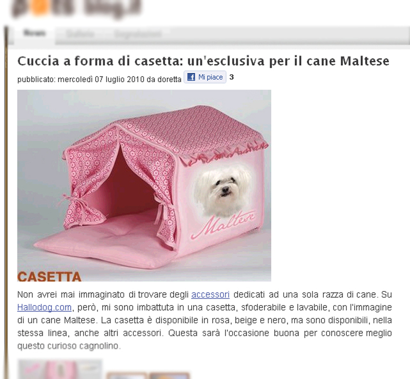 Casetta maltese - PetsBlog (Luglio 2010)